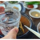 빽다방고양삼송