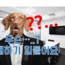 지산종합법률사무소