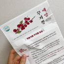 예양꾸지뽕 이미지