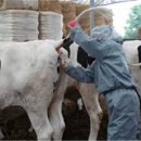 피내농장 이미지