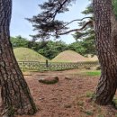 문화유산답사 | 경주국립공원 경주 남산 삼릉 문화유산 답사 여행