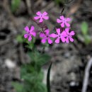 꽃소아청소년과의원 이미지