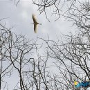 미암1리 이미지