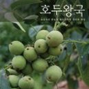 바른기술 이미지
