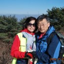 (주)하트스캔헬스케어 이미지