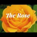 The Rose(영화 "The Rose" OST) 💜 Bette Midler(베티 미들러), 한글자막 이미지