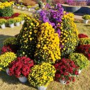 서구청 옥상생태공원 이미지