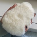 26500-74-04-047 | Fluffy Puffy Bushy :: 겨울 에어팟 맥스 케이스 추천, 부코심, 털 귀도리 케이스