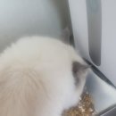 진성사료 이미지