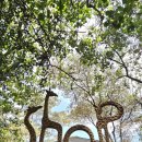 기린07-1 이미지