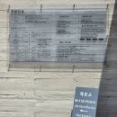 석장리박물관4 | 공주 석장리박물관 유채꽃밭 명소, 셀프웨딩촬영 후기