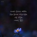 오늘도너는예쁘다 이미지