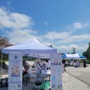 명지더샵3단지어린이집 | 부산 강서구 육아쉼표,2025년 같이의 가치,나눔장터 울림공원 방문후기