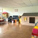 피피쿠스유치원 이미지