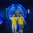 9월 26일 데이지조 - 아쿠아 플라넷 🐟🐠🐡 이미지