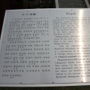 충신의사단비 이미지