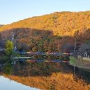 산인어탕칼국수 이미지