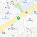 펫앤펫 인천점 강아지분양의 모든것 이미지