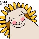 구곡폭포 국민여가 캠핑장 이미지