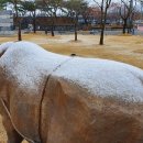 눈소로 이미지