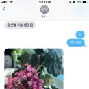 셋,별 이미지