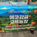 에코농장 네이버블로그