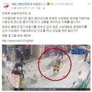 방송사업단