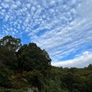 숲깊은 농장 이미지