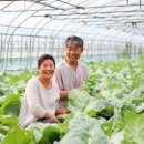 두리농장3 이미지