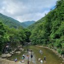 자연.이미지 이미지