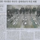 정무관 Daum카페