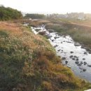 학수농장 이미지