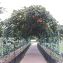 산장의 여인 이미지