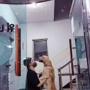 광명위너복싱 이미지