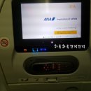 일본 도쿄 여행:) 아나항공 ANA항공 탑승후기