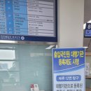 외국인 비자 업무 대행