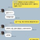 우성면 대성리 공중화장실 | 선택적 고립 2박 3일 동계 캠핑⛺️ 솔직후기