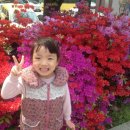 화도진약국 이미지