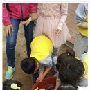 탄부초교 병설유치원 이미지