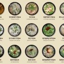 돈오돈국밥 이미지