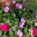 금강공원2 이미지