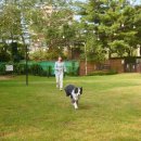 펫문화클럽 이미지