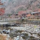 보령토굴젓갈 이미지