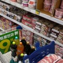 애견동반 밀양테마수영장