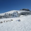 1/23~24 제주도 여행ㅡ 일단 마감합니다(한라산 입산예약이 빡세네요) 이미지