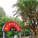 일산칼국수 이미지