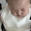 베베스미스 아기턱받이 후기｜이유식 시작 후 매일 사용하는 육아 필수템