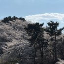 문화소류지 네이버블로그