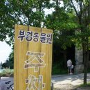 김해 아이와 가볼만한 곳 :) 부경 동물원, 호랑이 먹이 주기