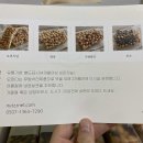 넛쯔공방 이미지